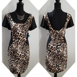 🆕 Janette Plus Dress Plus Size 2XL